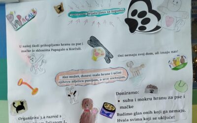 Pomozimo prijateljima sa šapama