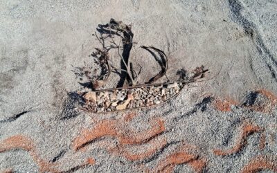 Terenska nastava 5. listopada